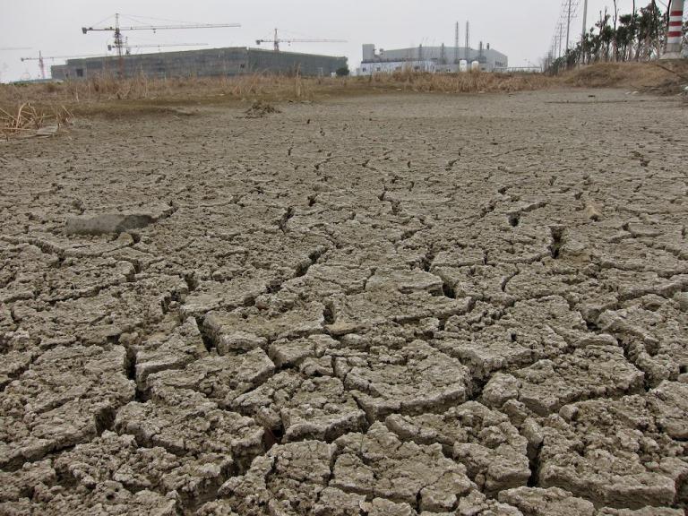Prime farmland in Jiangsu Province, China has been fallowed for construction of a new solar manufacturing cluster, May 2014, by Jia Ching Chen.